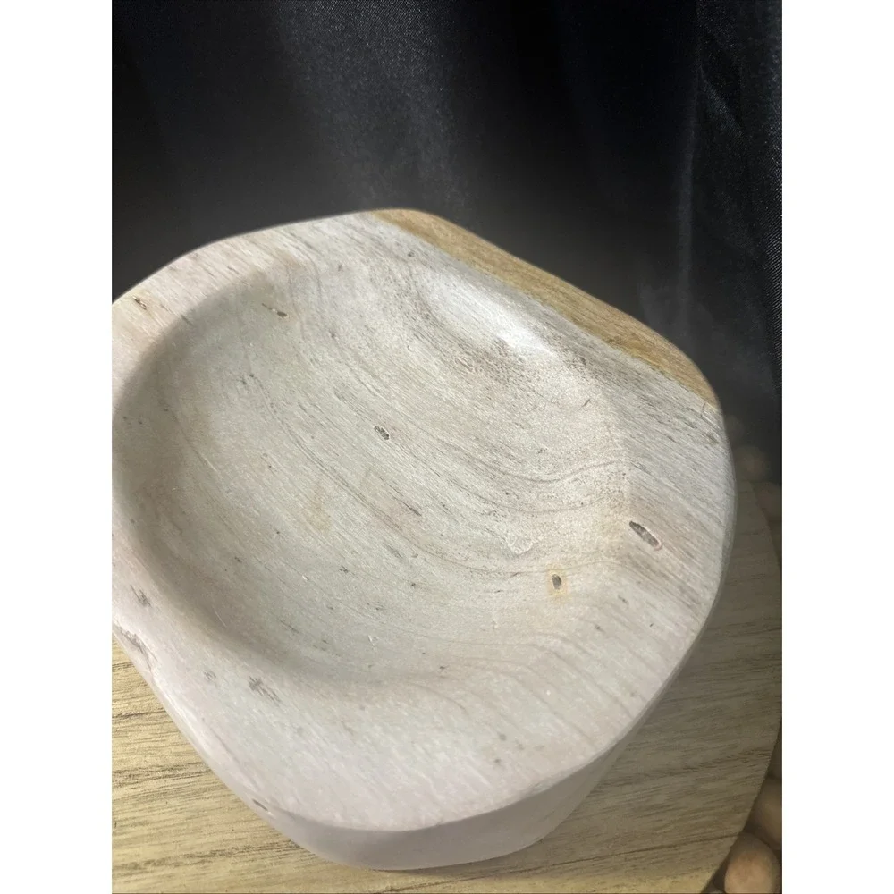 Petrified Wood Bowl Rustic Decor 8.5lbs  Amazing Statement Dish
